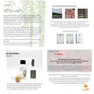 [HB GIFT] Lọ khuếch tán tinh dầu Concentration Aroma Diffuser 200ml