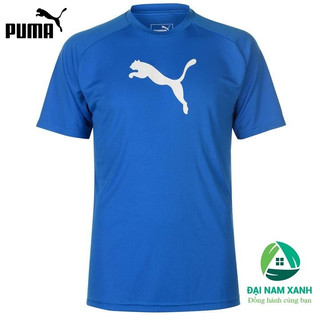 Áo thun nam cổ tròn Puma Liga Short Sleeve size châu Âu (màu Royal)