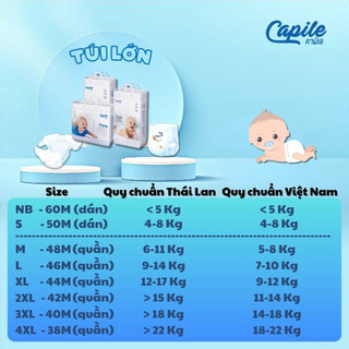 Tã Bỉm Quần Capile Siêu Thấm Size 4XL