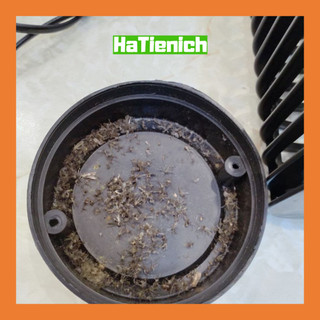Đèn Bắt Muỗi Hando Hiệu Quả Cao - Hà Tiện Ích