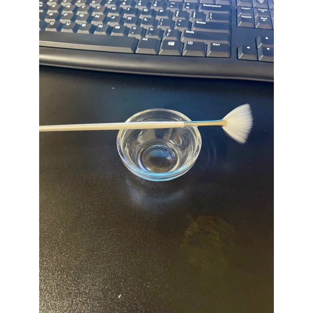 Bát Thủy Tinh Đựng Nước Peel