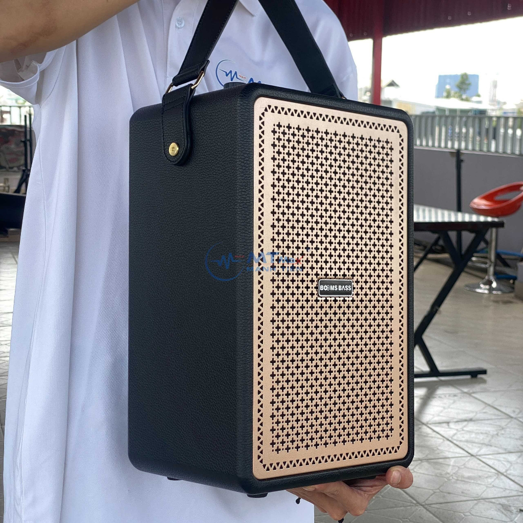 Loa Bluetooth Karaoke Booms Bass M4203 Bass Mạnh, Kèm 2 Micro Không Dây Bảo Hành 12 Tháng