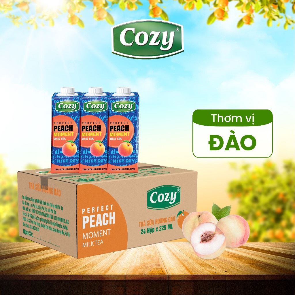 THÙNG 24 Hộp Trà Sữa Cozy Vị Đào/Matcha/Rau Má Đậu Xanh-TUH