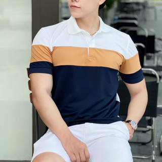 Áo thun polo nam phối màu, vải mềm mịn, thun cá sấu thoáng mát - HK263