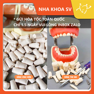 🔥🔥🔥răng nhựa vĩnh viễn - răng nhựa trẻ em