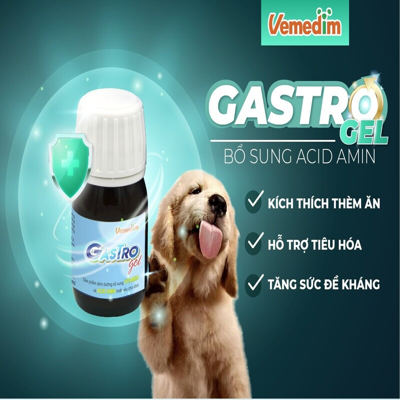 Gel dinh dưỡng cho chó Gastro gel hỗ trợ tiêu hóa hồi phục nhanh tăng sức đề kháng kích thích cún thèm ăn lọ 30ml