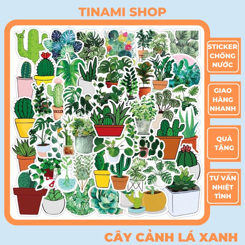 50 Sticker cây cảnh lá xanh hình dán chống nước dùng trang trí máy tính điện thoại laptop vali STK.011
