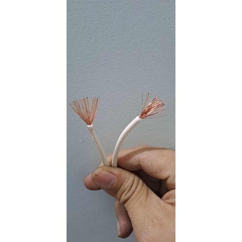 Phích cắm đúc liền dây nhật bãi