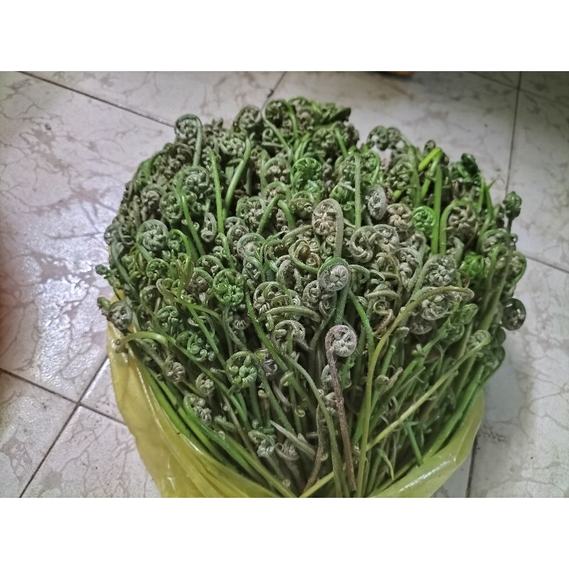 đọt chạy 500g