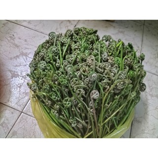 đọt chạy 500g