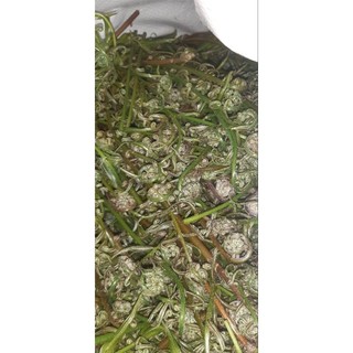 đọt chạy 500g