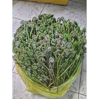 đọt chạy 500g