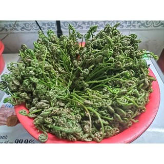 đọt chạy 500g