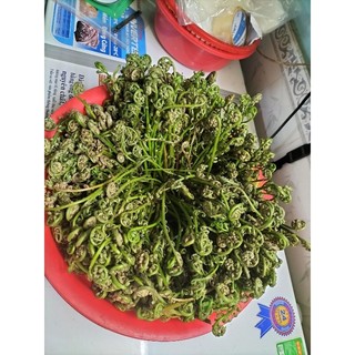 đọt chạy 500g