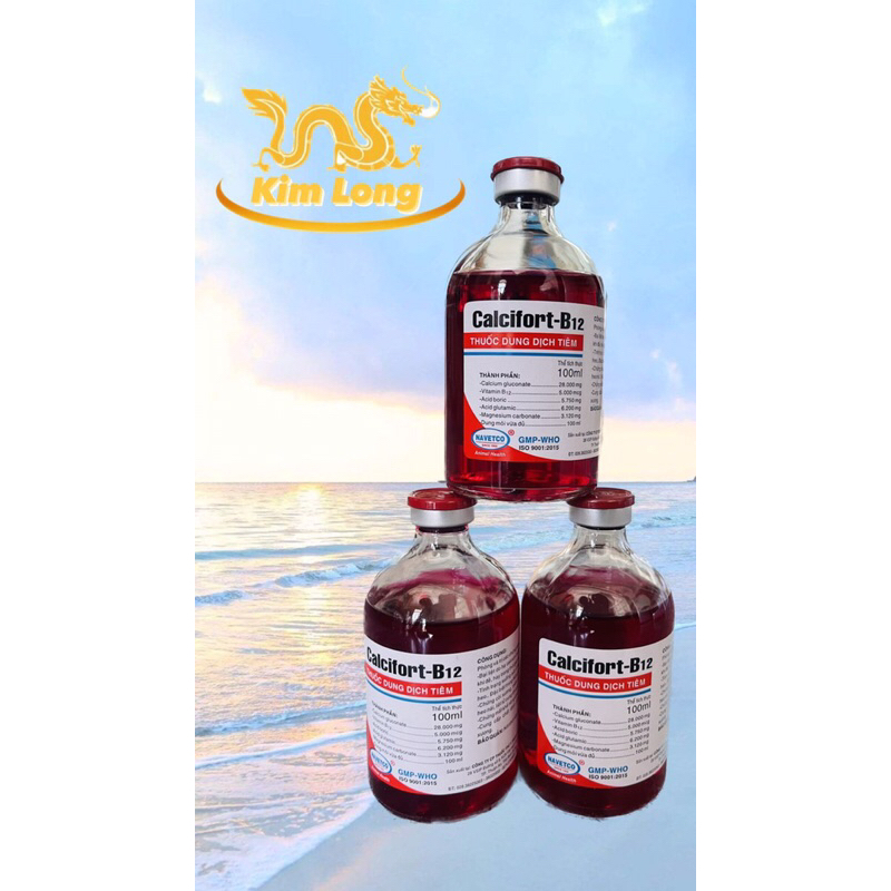 Calcifort B12 chai 100ml