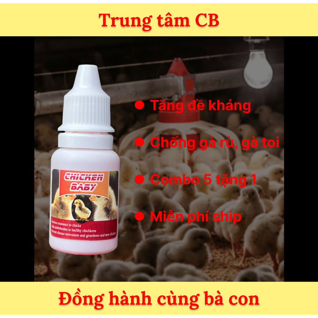 CHICKEN BABY, ÚM GÀ CON SIÊU VIỆT