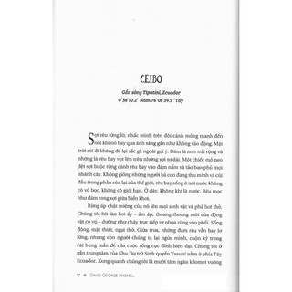 Sách - Khúc Hát Của Cây (PN)