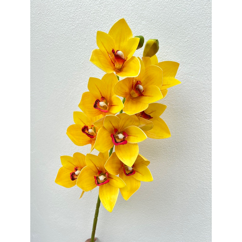 Hoa lan giả,hoa địa lan,hoa trang trí