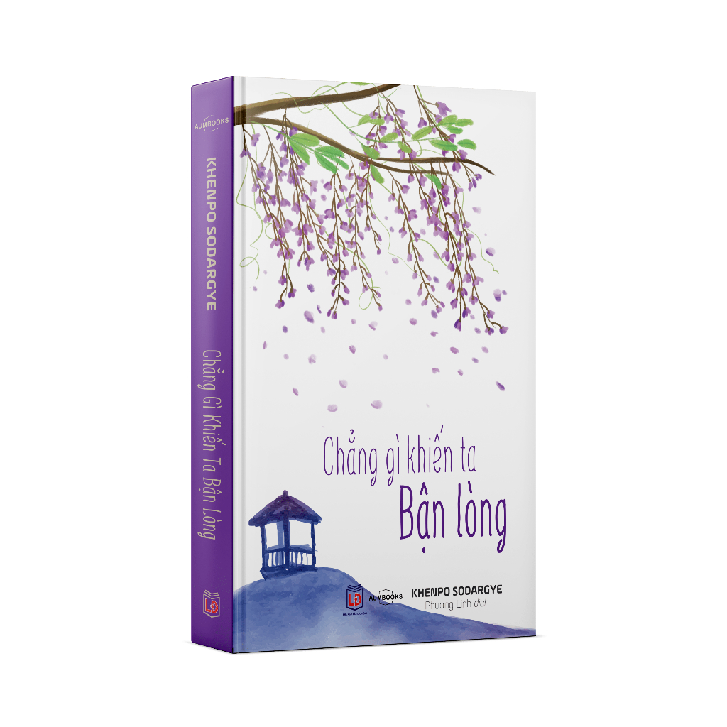 Sách Chẳng Gì Khiến Ta Bận Lòng - Khenpo Sodargye