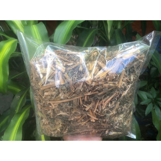 1kg Cây dền gai khô sạch