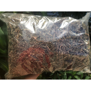 500g Cây Bọ Dòi khô, sạch, thơm, đun uống rất ngon