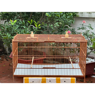 Khung lồng lực tre chào mào tự ráp kích thước 60, 80 cho chào mào ghép sẵn 4 mặt có video hướng dẫn tặng kèm dầu bóng