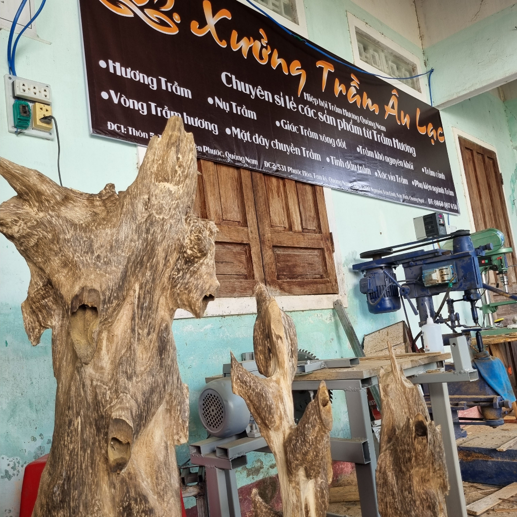 1 Nụ Trầm Nhà Âu Lạc - Dùng Xông Đót Tẩy Uế Thờ Cúng Thưởng Trầm Hàng Tự nhiên 100% không hóa chất giá tận xưởng