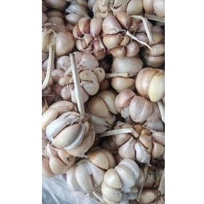 TỎI CỦ TO - THƠM - TÉP TO
