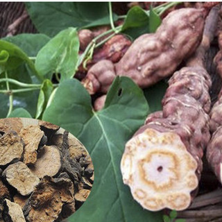 Cao Hà Thủ Ô Dân Tộc Dao Đỏ (Hộp 200gram) - Đặc Sản 27