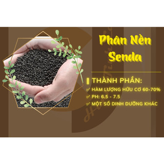 Phân nền Senda cho bể Thủy sinh cá cảnh