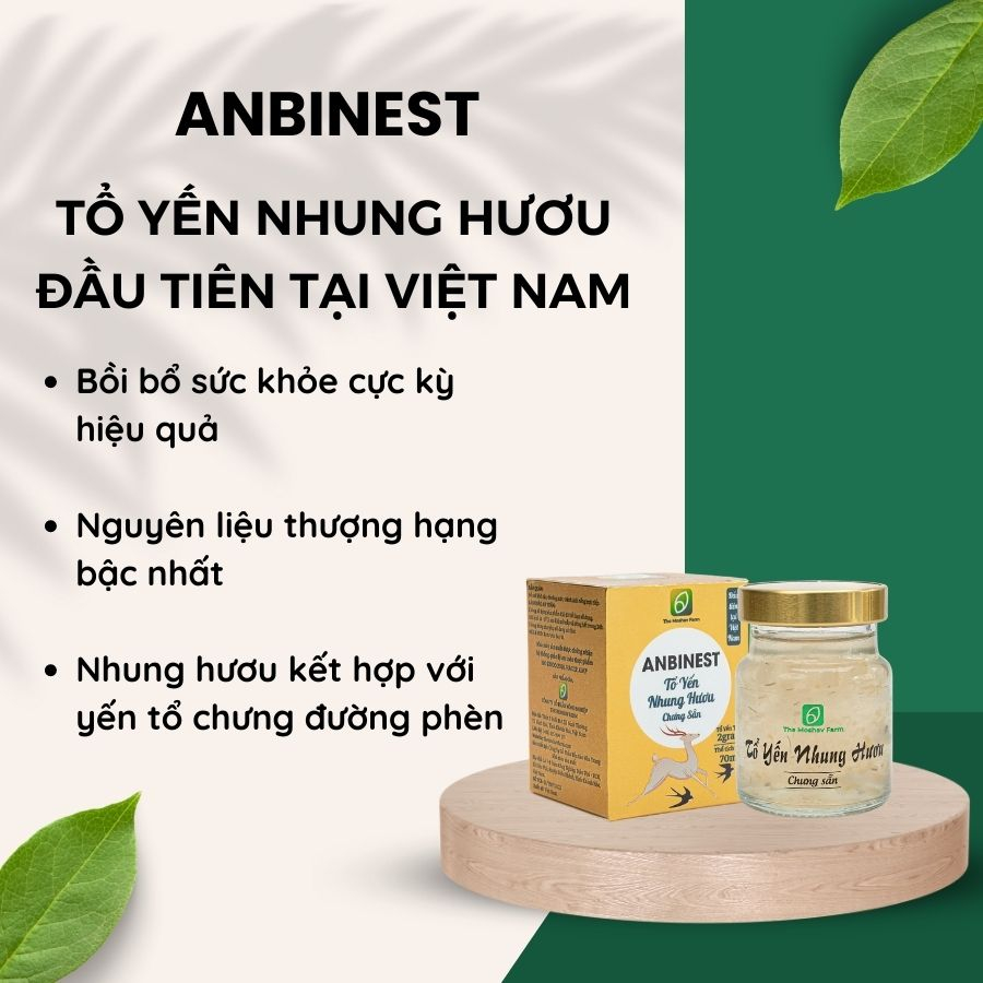 Block 6 Hũ 70ml - Tổ Yến Nhung Hươu Chưng Sẵn Anbinest Tốt Cho Người Già