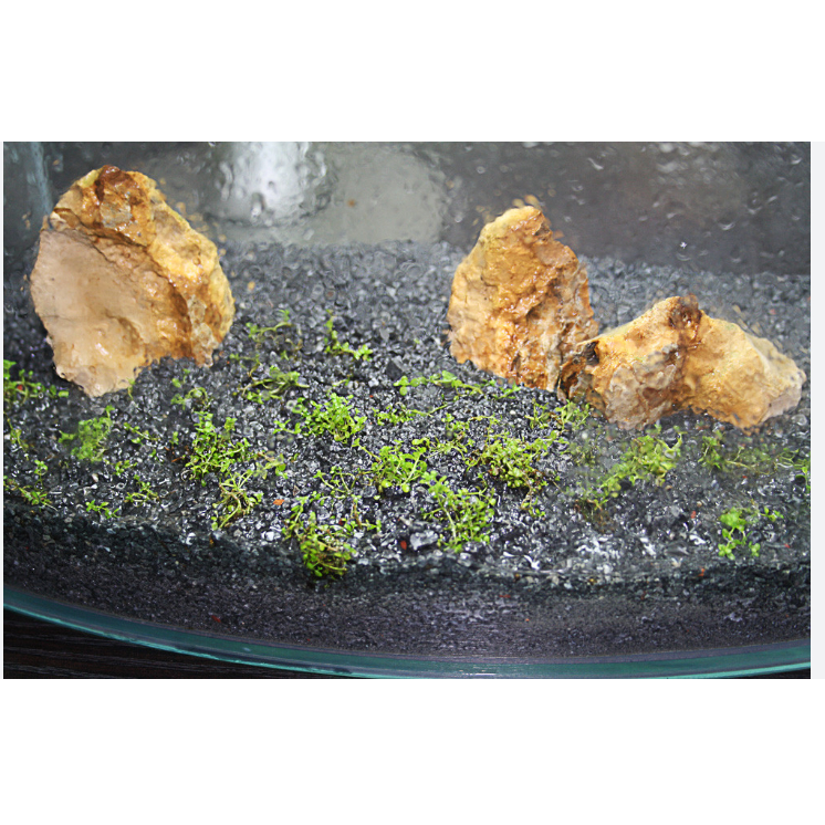 Nền cát onyx sand cho bể thủy sinh của hãng seachem mỹ