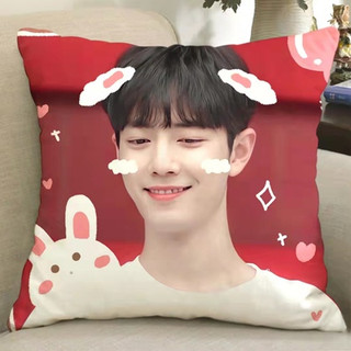 Gối ôm tiêu chiến xiao zhan 35*35cm