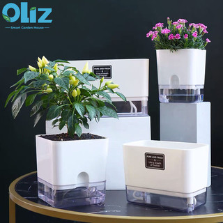  Chậu trồng cây thông minh để bàn decor Oliz-G2. Có chức năng tự tưới nước 