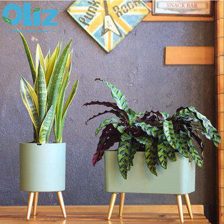 Chậu trồng cây tự tưới thông minh Oliz-Z5.chậu cây tự dưỡng có chức năng cảnh báo khi cây thiếu nước