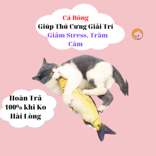 Thú bông hình cá đồ chơi cho chó mèo nhỏ xinh dễ thương