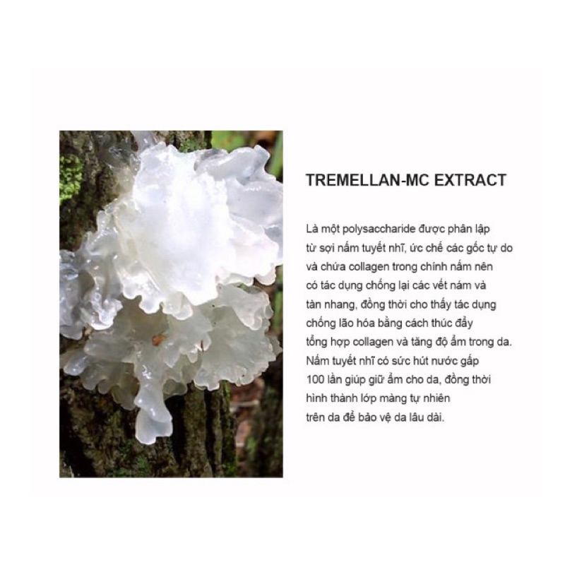 Mặt nạ thạch Collagen Nâng Cơ Chống Lão Hoá - LBlancCite