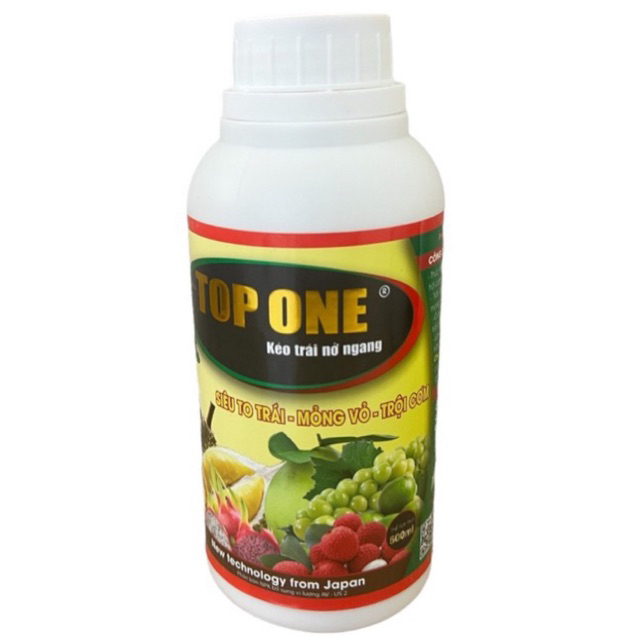 TOP ONE - KÉO TRÁI NỞ NGANG, CHỈNH TRÁI, TRÒN TRÁI
