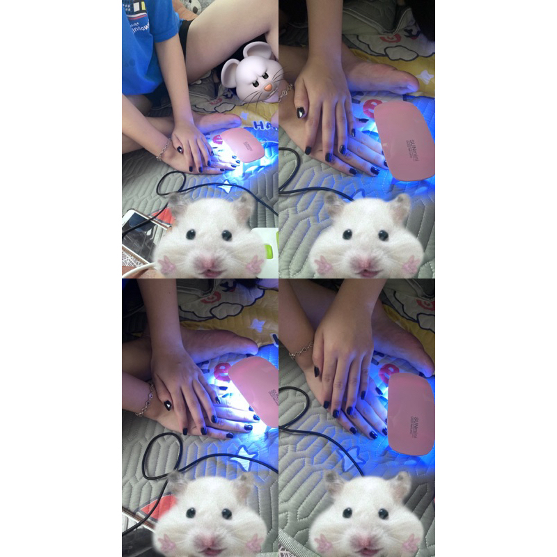 sản phẩm chốt live