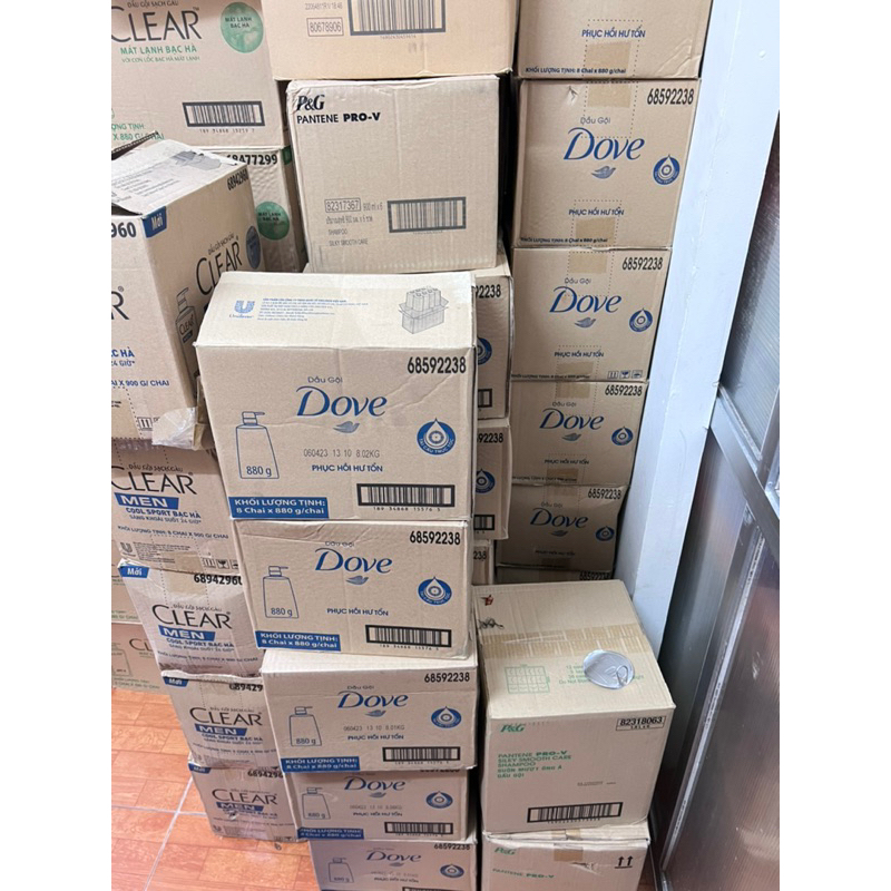 Dầu Gội Dove 880gr