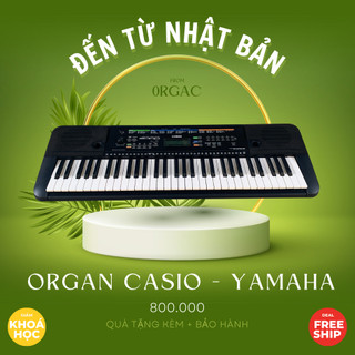 Đàn Organ Nhật Giá Rẻ Casio | Yamaha | Bảo Hành 1 Năm