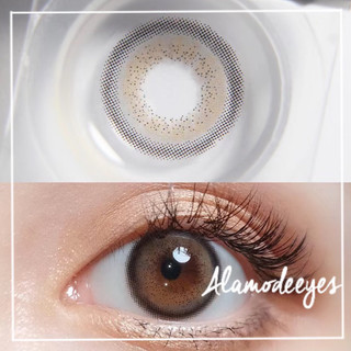 Lens xám chấm