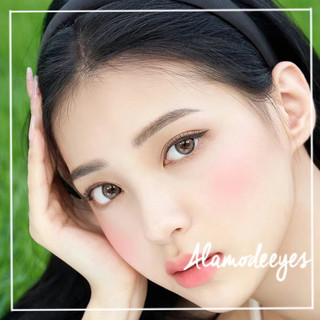 Lens xám chấm