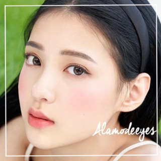 Lens xám chấm