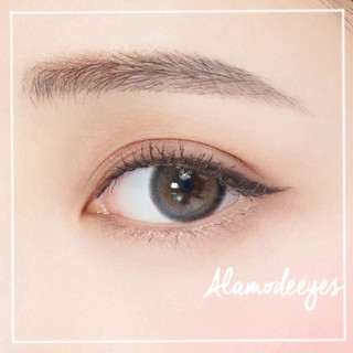 Lens xám chấm