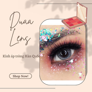 Lens hàn quốc pony gray kèm khay đơn