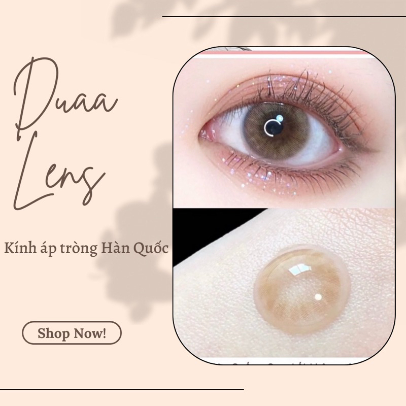 MẪU LENS NÂU TÂY KHÔNG VIỀN - KÍNH ÁP TRÒNG GIÃN NHỎ HÀN QUỐC KÈM KHAY ĐƠN