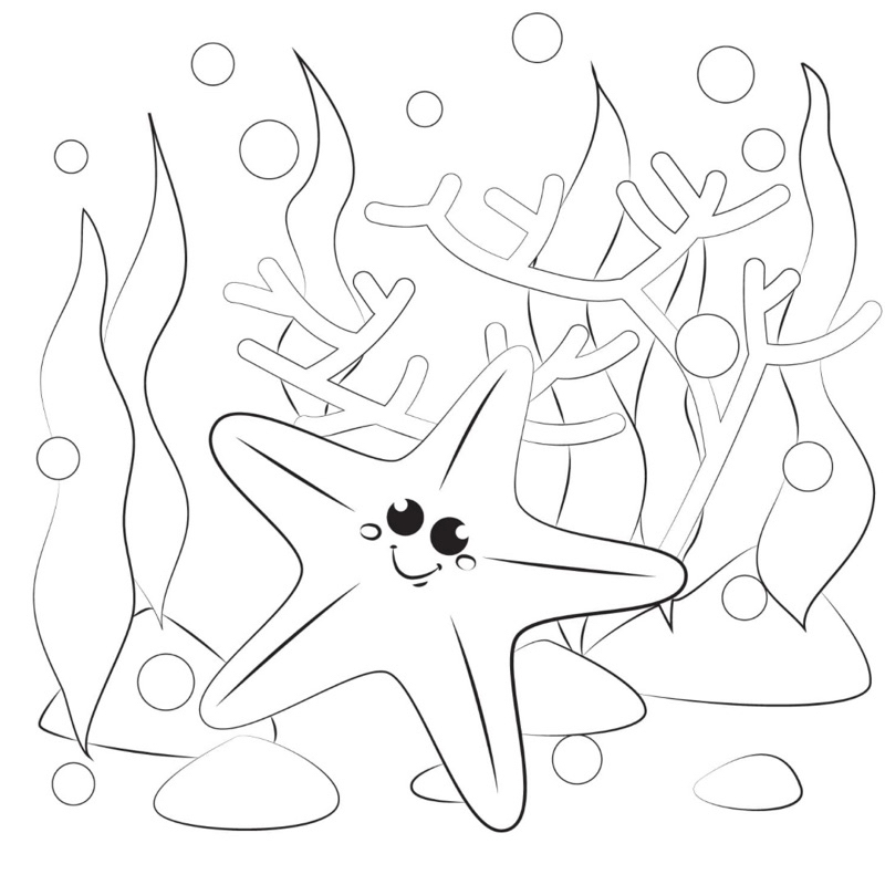 Sao biển Starfish - Set 20 Tờ Tranh Tô Màu A4 A5 Dành Cho Màu Sáp, Màu Chì - TRANH TÔ MÀU COLOR LAND