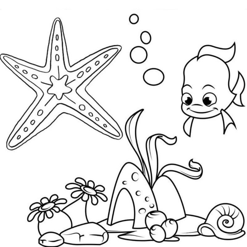 Sao biển Starfish - Set 20 Tờ Tranh Tô Màu A4 A5 Dành Cho Màu Sáp, Màu Chì - TRANH TÔ MÀU COLOR LAND