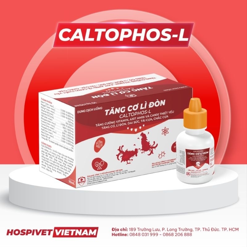 CALTOPHOS – L 10ML: TĂNG CƠ, LÌ ĐÒN, DAI SỨC, TẢI CỰA, CHẮC CỰA GÀ ĐÁ, GÀ CHỌI